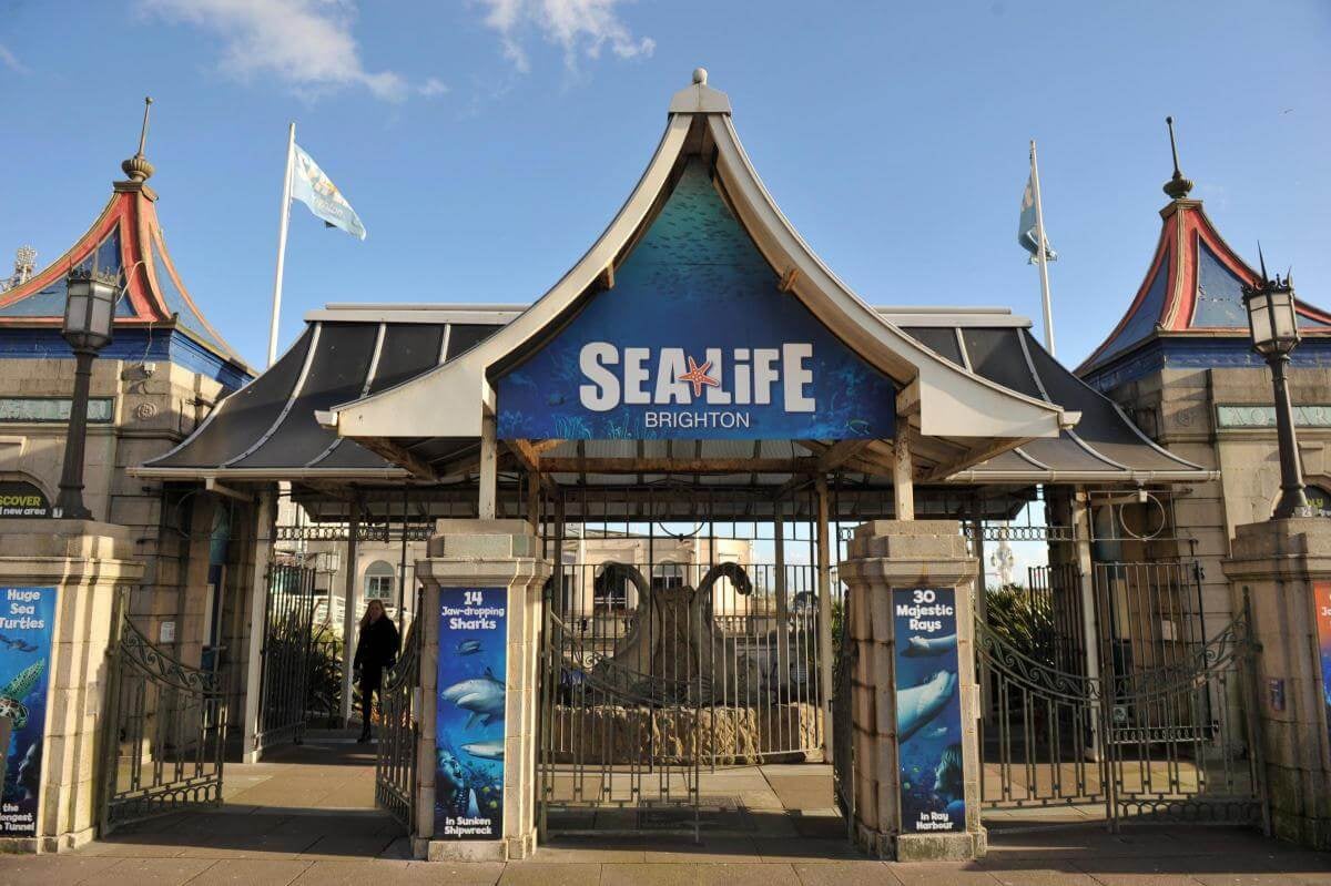 SEA LIFE Brighton